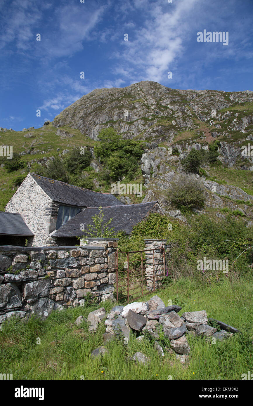 Craig yr Aderyn (Vogelfelsen) in der Nähe von Llanfihangel-y-Wimpel. Der Fels ist ein wichtiger Nistplatz für seltene Alpenkrähe. Stockfoto