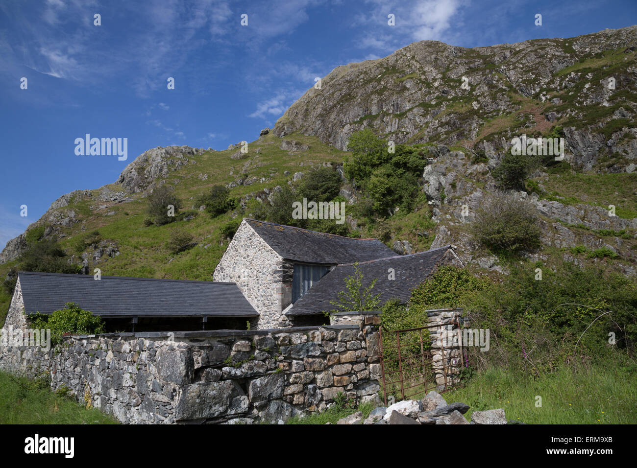 Craig yr Aderyn (Vogelfelsen) in der Nähe von Llanfihangel-y-Wimpel. Der Fels ist ein wichtiger Nistplatz für seltene Alpenkrähe. Stockfoto