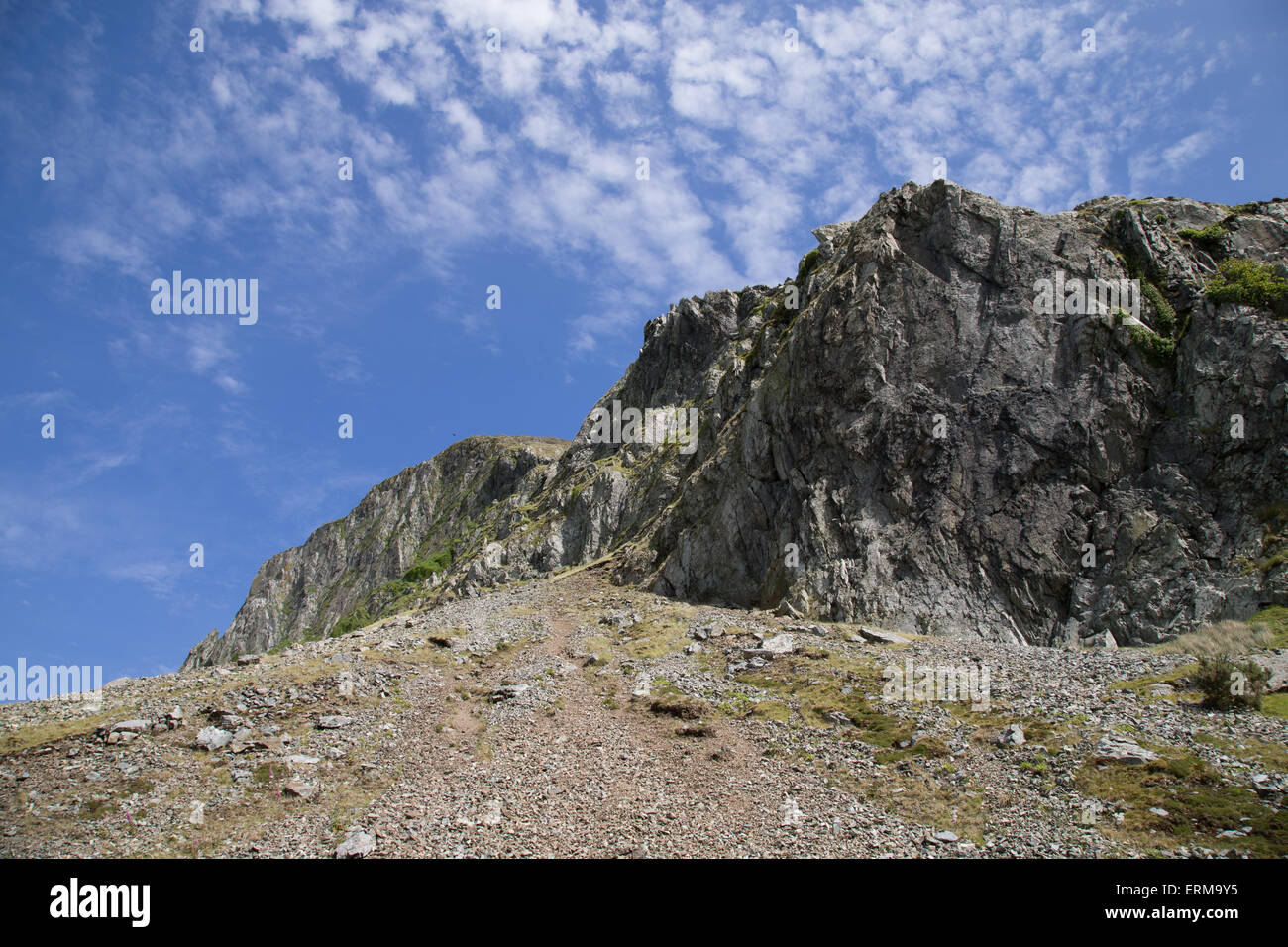 Craig yr Aderyn (Vogelfelsen) in der Nähe von Llanfihangel-y-Wimpel. Der Fels ist ein wichtiger Nistplatz für seltene Alpenkrähe. Stockfoto