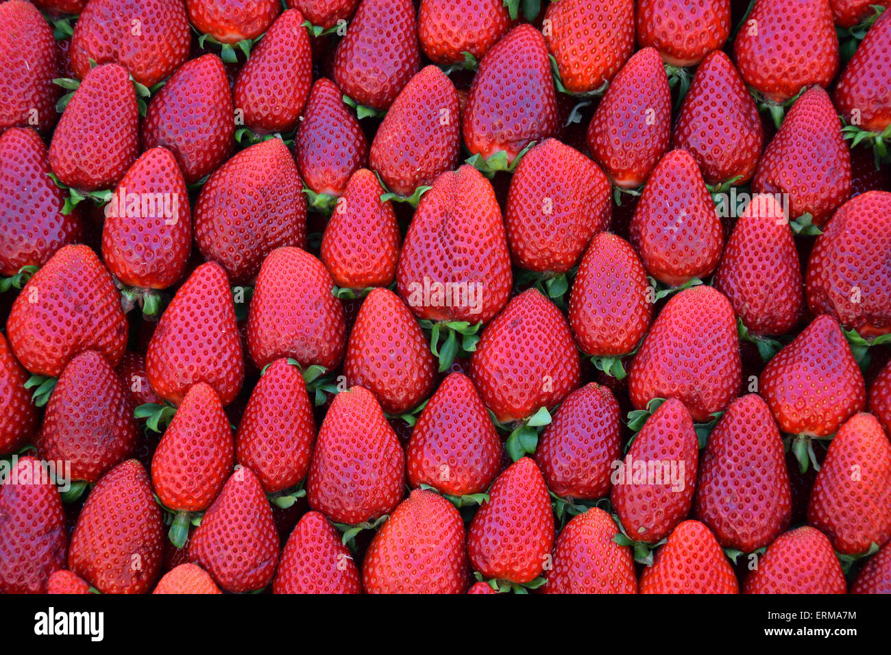 Haufen von Erdbeeren frisches Obst Hintergrundtextur. Stockfoto