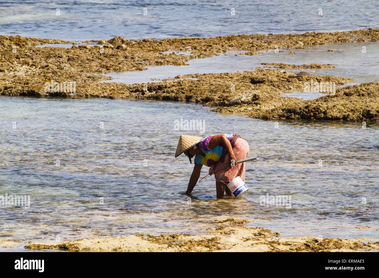 Mann, die Kommissionierung Muscheln am Strand von Kuta, Lombok, West Nusa Tenggara, Indonesien Stockfoto