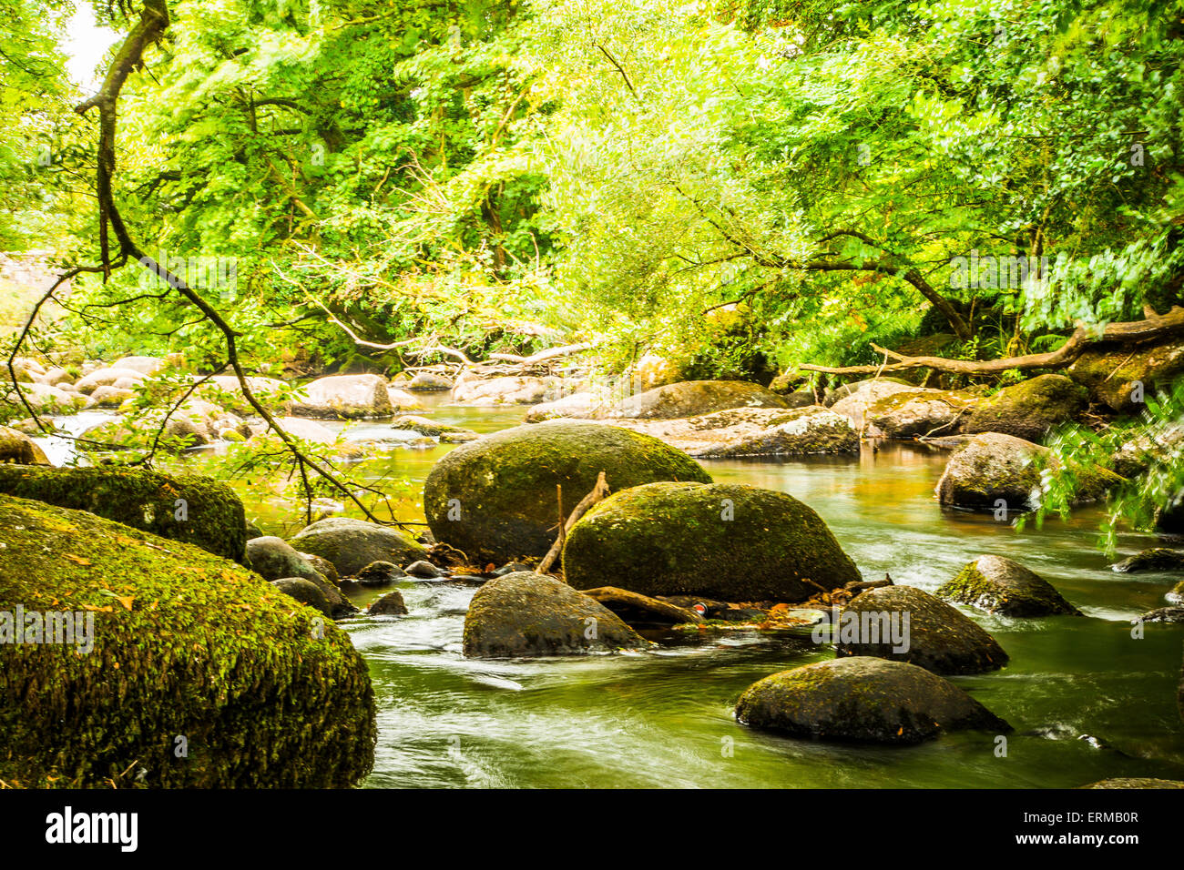 Die rocky River Dart am Dartmeet in Devon. Stockfoto