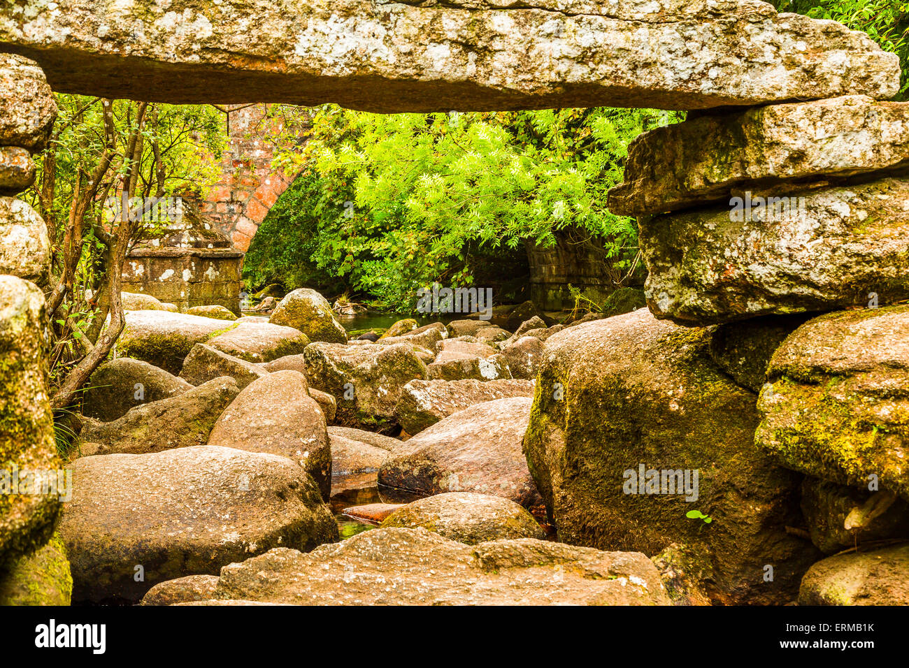 Die rocky River Dart am Dartmeet in Devon. Stockfoto