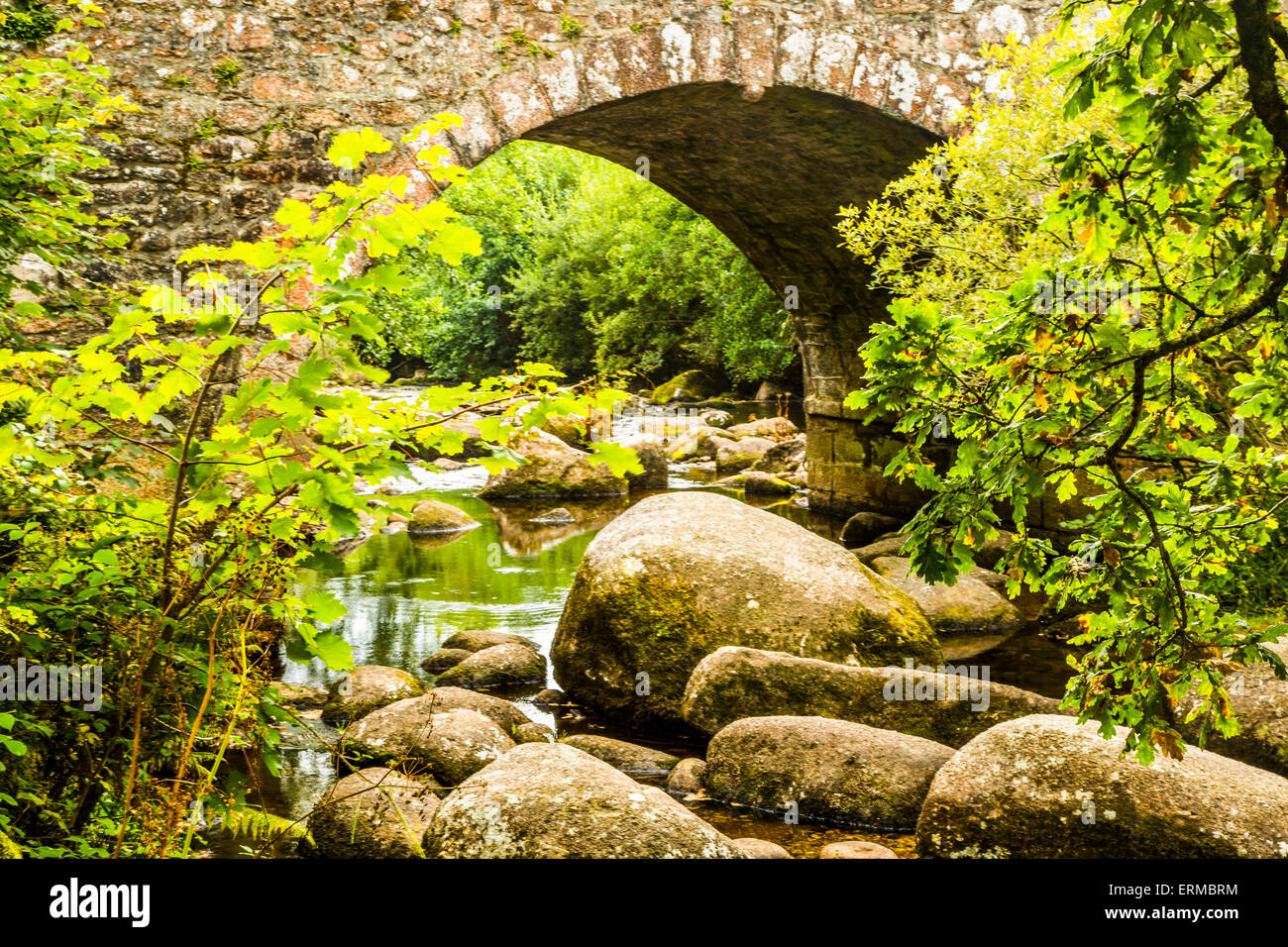 Die rocky River Dart am Dartmeet in Devon. Stockfoto