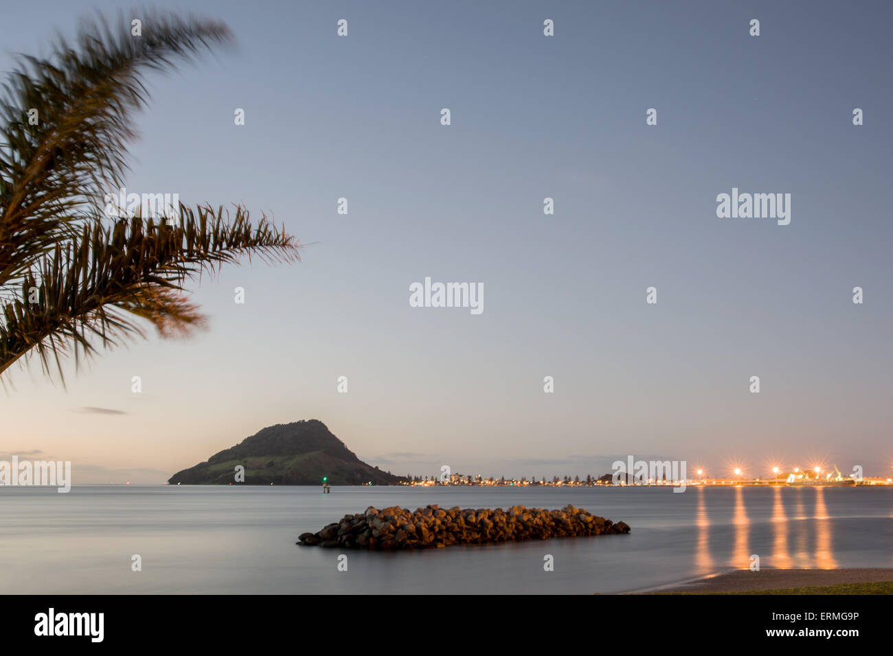 Lichter der Mount Maunganui über Tauranga Hafen bei Nacht mit Palmwedel wiegen sich im Wind Stockfoto