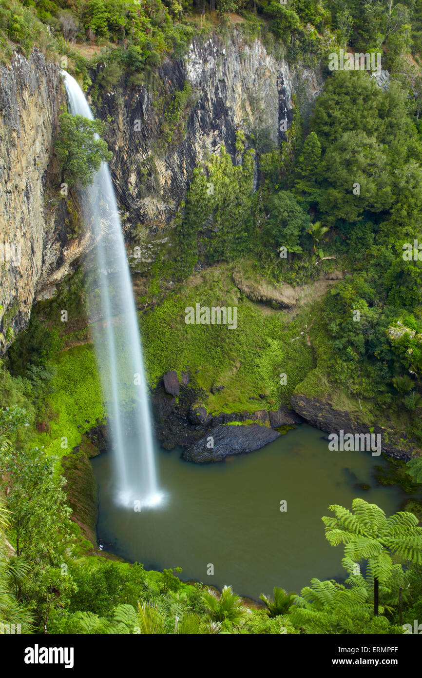 Bridal Veil Falls, in der Nähe von Raglan, Waikato, Nordinsel, Neuseeland Stockfoto