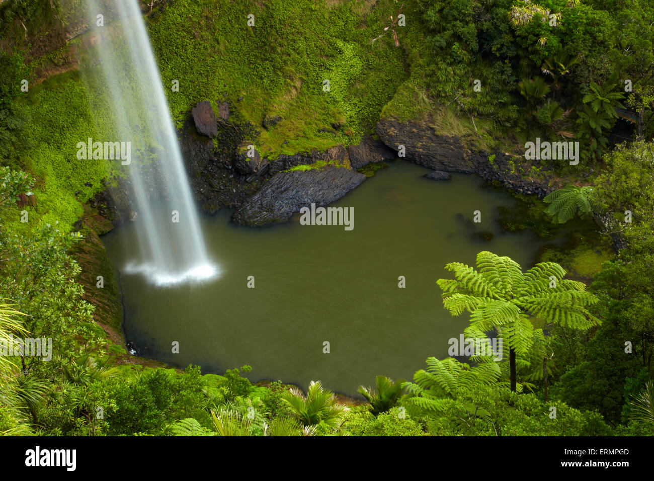 Bridal Veil Falls, in der Nähe von Raglan, Waikato, Nordinsel, Neuseeland Stockfoto