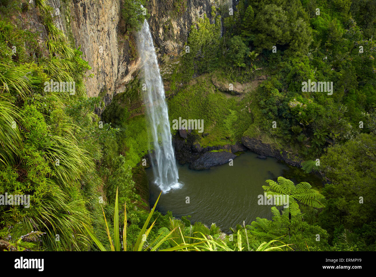 Bridal Veil Falls, in der Nähe von Raglan, Waikato, Nordinsel, Neuseeland Stockfoto