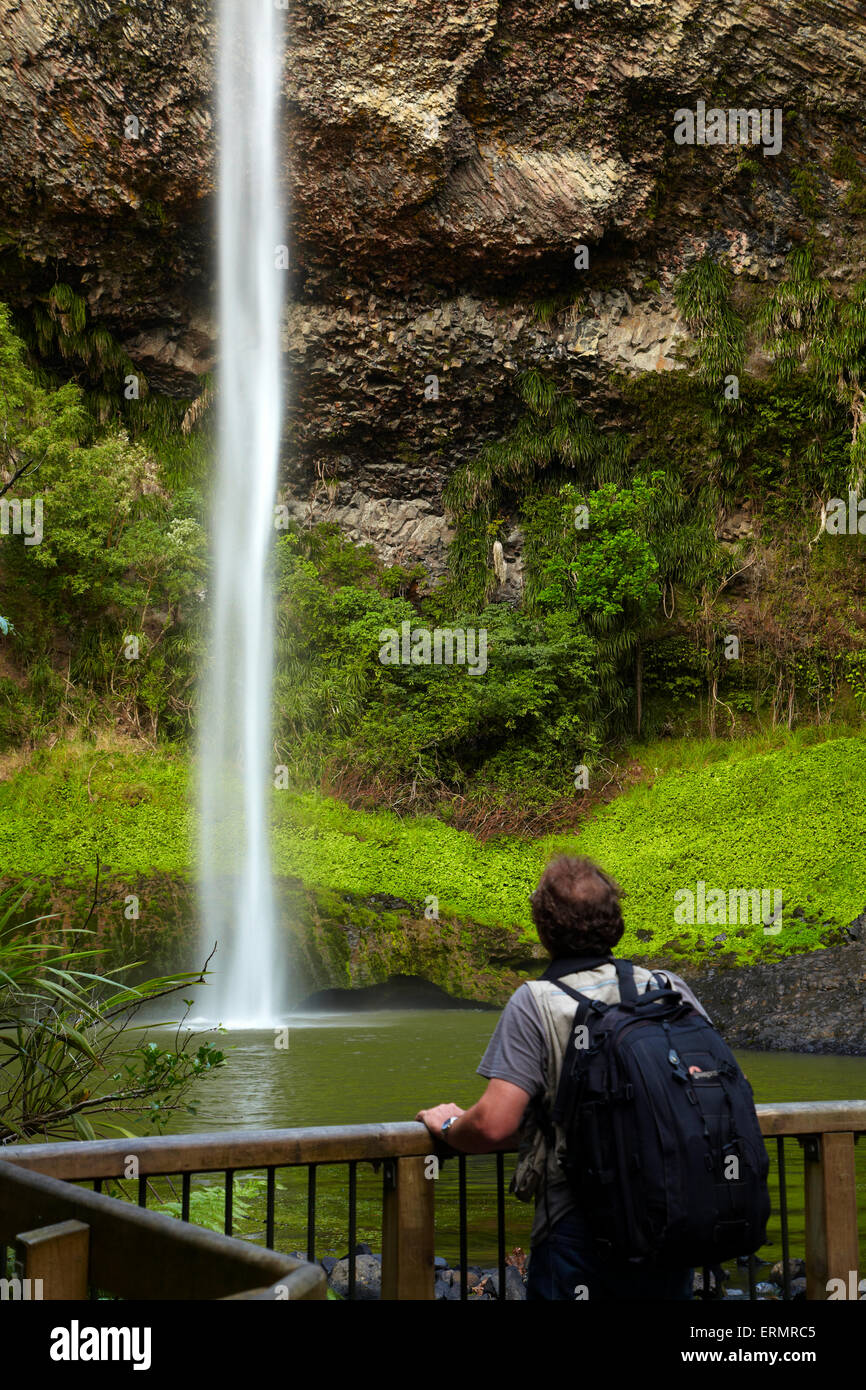 Bridal Veil Falls, in der Nähe von Raglan, Waikato, Nordinsel, Neuseeland Stockfoto