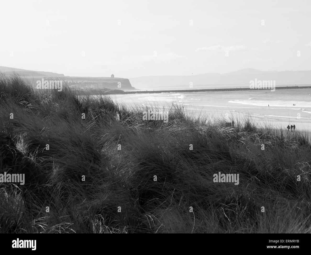 Schwarzweißansicht Mussenden Tempel von Portstewart strand Stockfoto