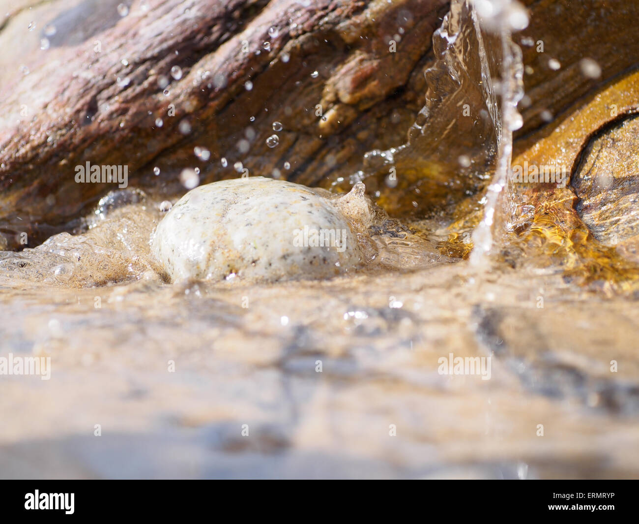 Nahaufnahme von einem Stein Splash in einem Rock Pool am Strand Stockfoto