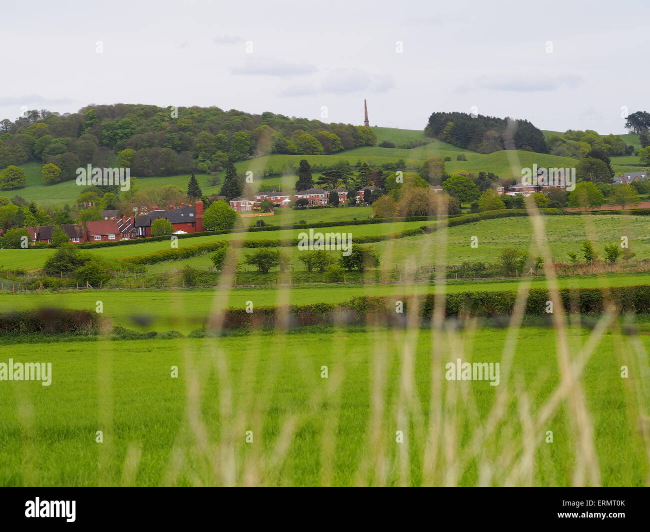 Blick auf Wychbury Obelisk oder Monument in der Nähe von Hagley Stourbridge Hagley entnommen Stockfoto