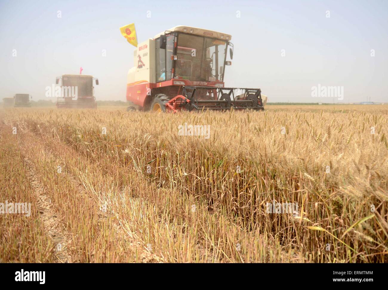 Shijiazhuang, China der Provinz Hebei. 5. Juni 2015. Harvester ernten Weizen in der Grafschaft Cheng'an, Nordchinas Provinz Hebei, 5. Juni 2015. Eine Gesamtmenge von 34,5 Millionen Mu (ca. 2.300.000 ha) des Weizens begann vor kurzem in der Erntezeit Hebei treten. © Wang Xiao/Xinhua/Alamy Live-Nachrichten Stockfoto