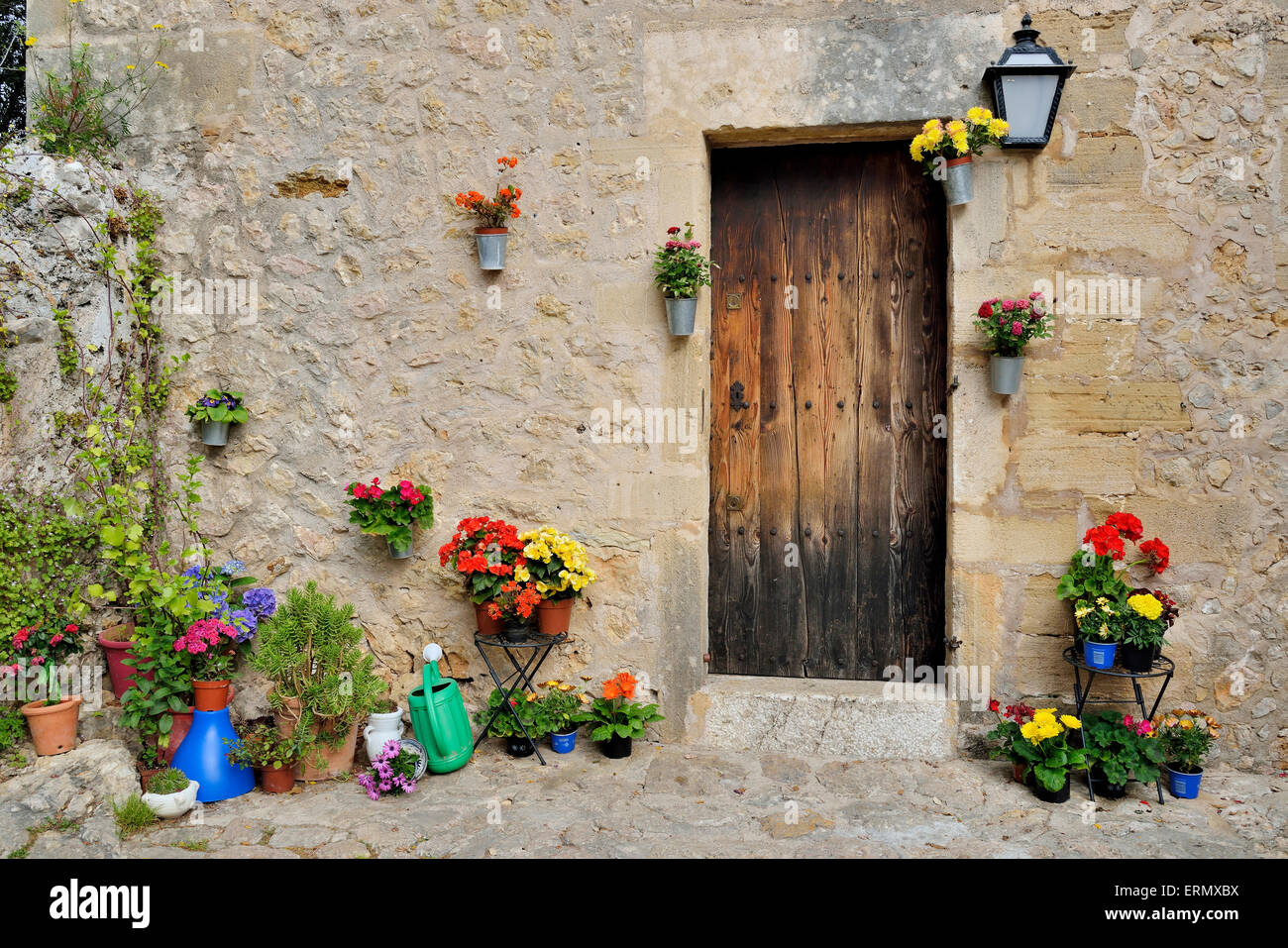 Blumentöpfe vor einem Haus, Pollenca, Mallorca, Balearen, Spanien Stockfoto