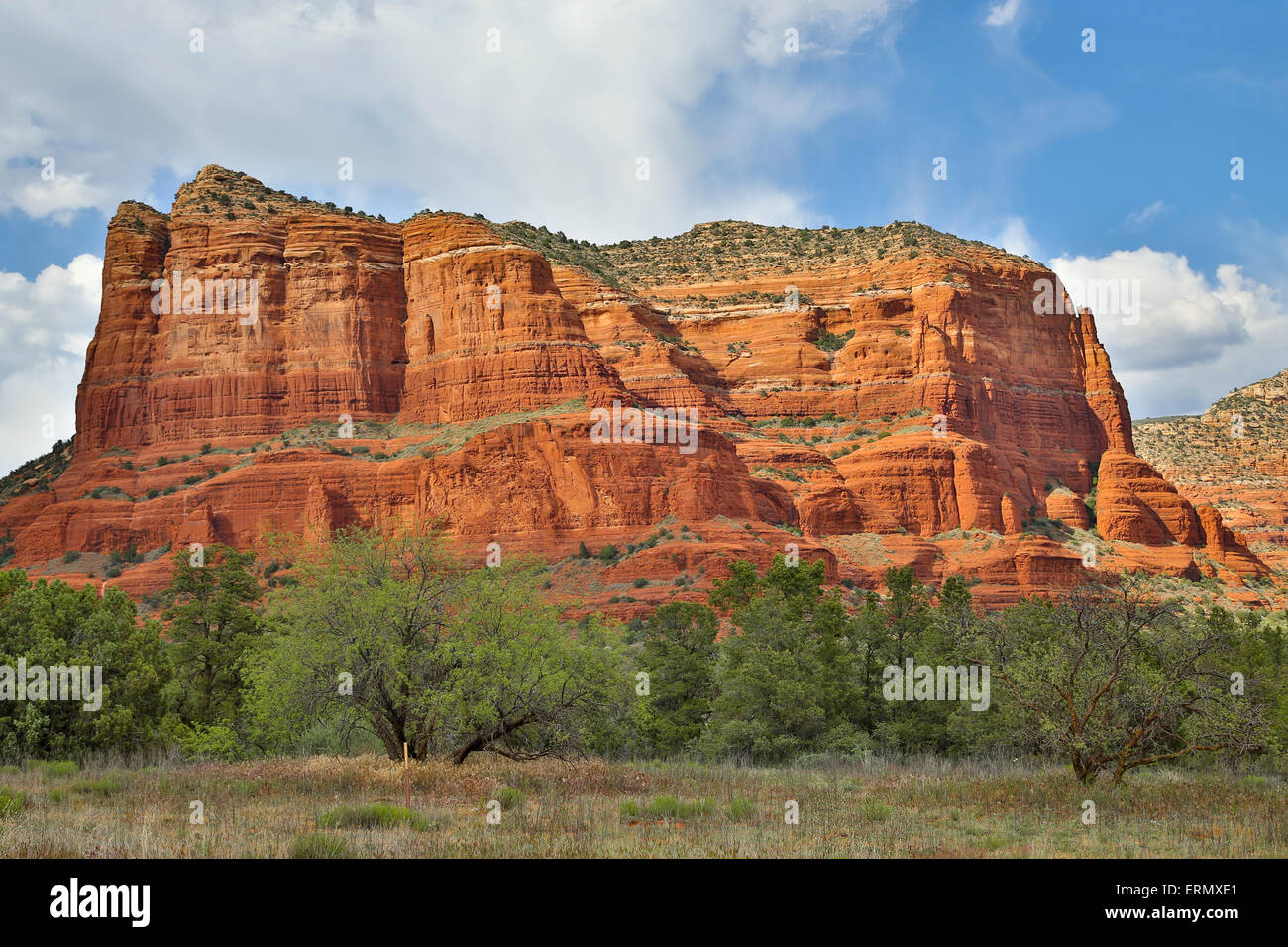 Roten Felsformationen, Sedona, Arizona, USA Stockfoto