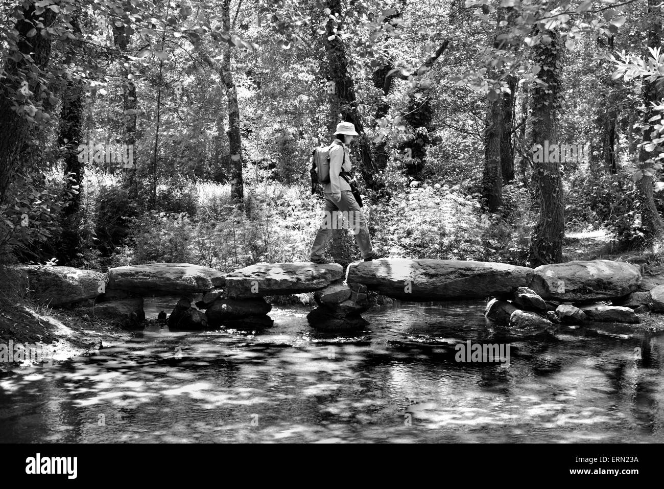 Spanien, Jakobsweg: Pilger überqueren die Passadeira de Catasol in den frischen Wäldern Galiciens in schwarz / weiß-version Stockfoto