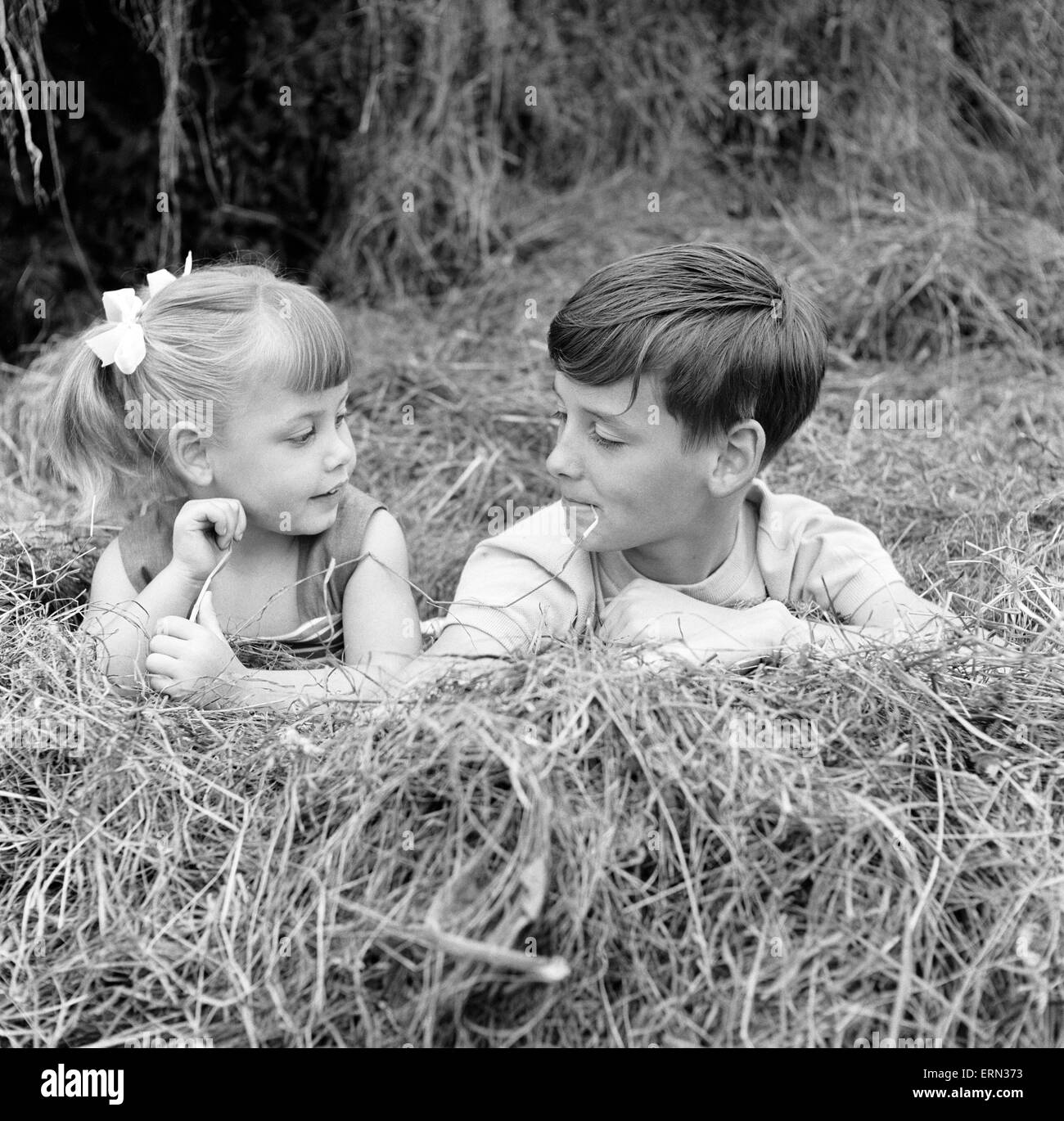Geschwister, Helen (3) und Paul Burrows (9) aus Waterloo, London, genießen Sie ihren ersten Tag in der Natur auf einem Bauernhof in Chipperfield, Herts, 7. September 1956. Stockfoto