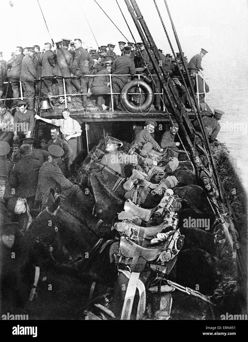 Britische Kavallerie und Pferde an Bord eines Schiffes auf dem Weg nach Frankreich, August 1914.  Die British Expeditionary Force Versicherte von ihrem Kommandanten, Field Marshall Sir John French, die "alles wird von Weihnachten. Einige 70.000 überquerten den Kanal im geheimen; bis Weihnachten waren ihre Verluste verheerend. Stockfoto