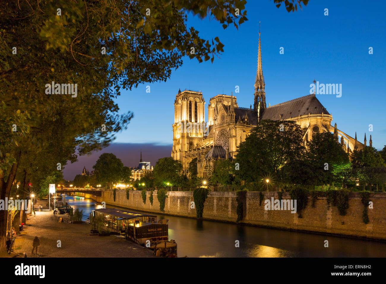 Dämmerung am Ufer unterhalb der Kathedrale Notre-Dame, Paris, Frankreich Stockfoto
