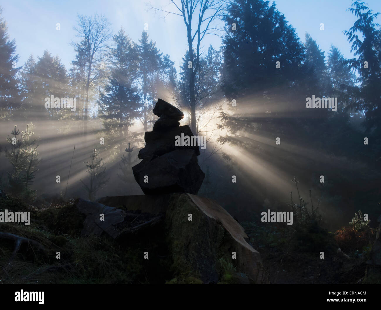 Sonne scheint durch eine Ishigumi (die Anordnung von Steinen) bei Nebel und Wald; Vancouver Island, British Columbia, Kanada Stockfoto