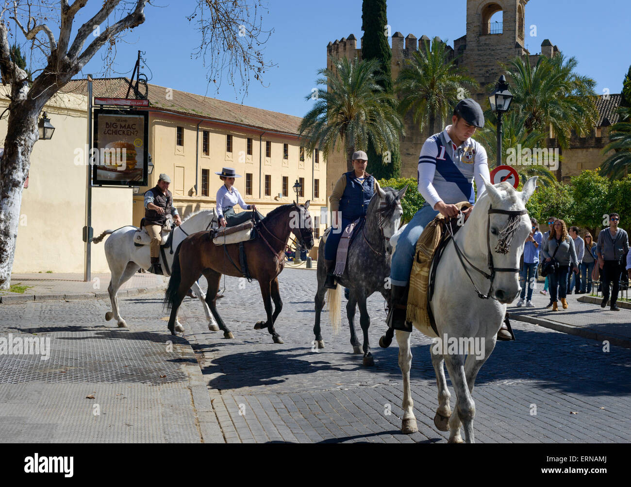 Reiter und Pferde in den Straßen von Cordoba, Spanien Stockfoto