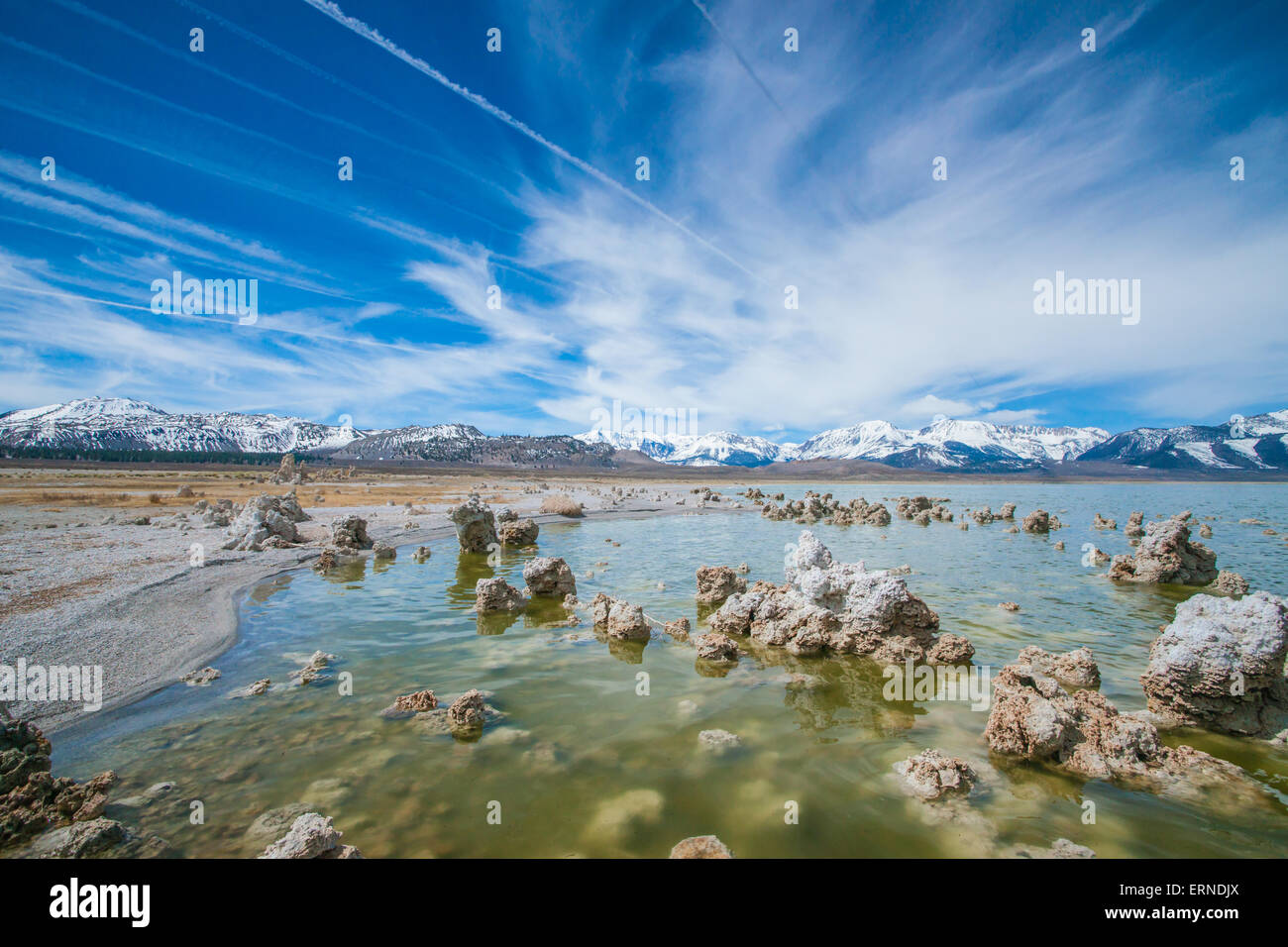 Seltsame Felsformationen entstehen aus dem Wasser in die Becken California Mono Lake. Stockfoto