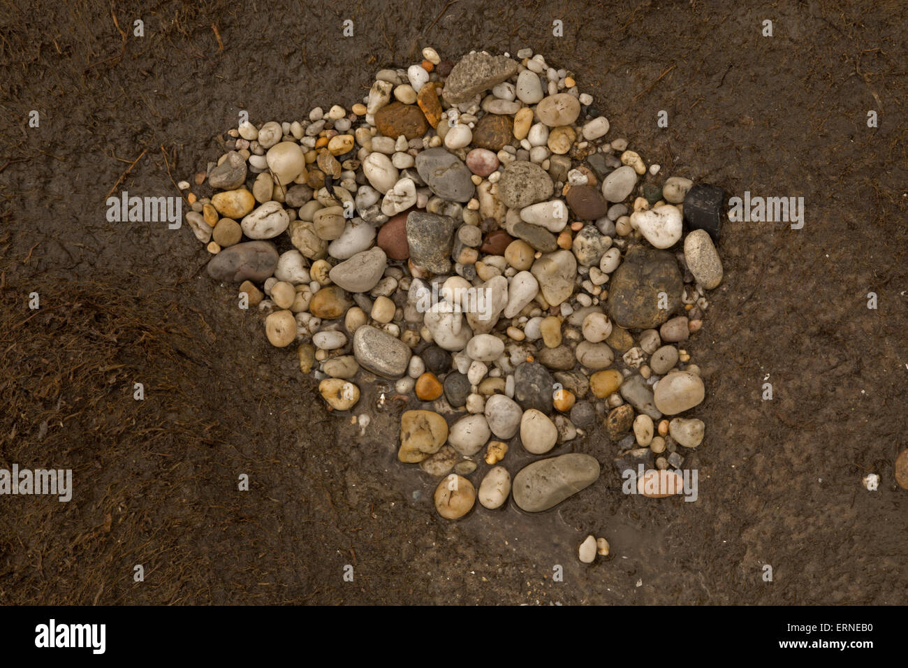 Felsen am Strand von Delaware Bay, Delaware Stockfoto