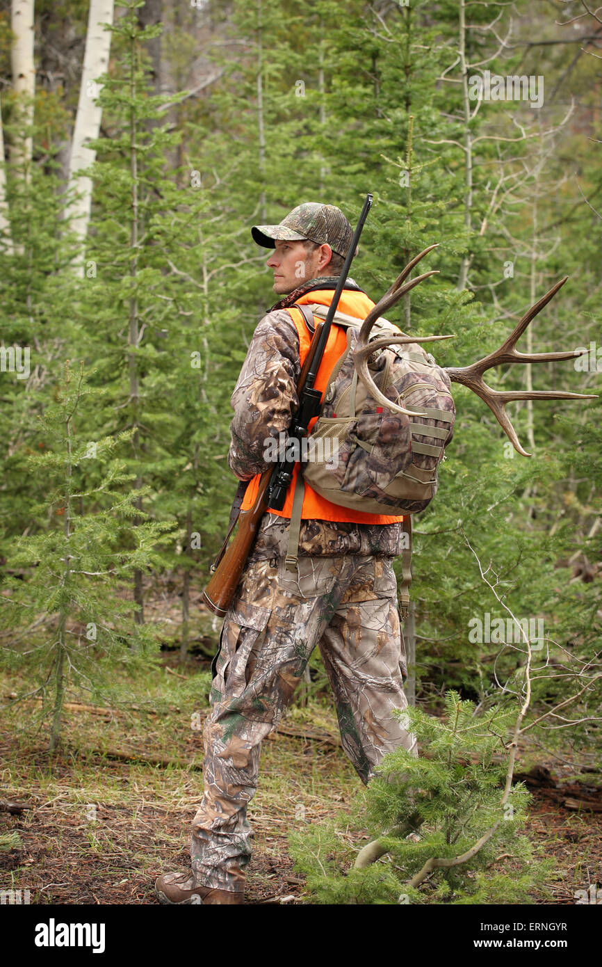 Erfolgreicher Gewehrjäger beim Wandern durch Wälder mit Hirschen im Rudel Stockfoto