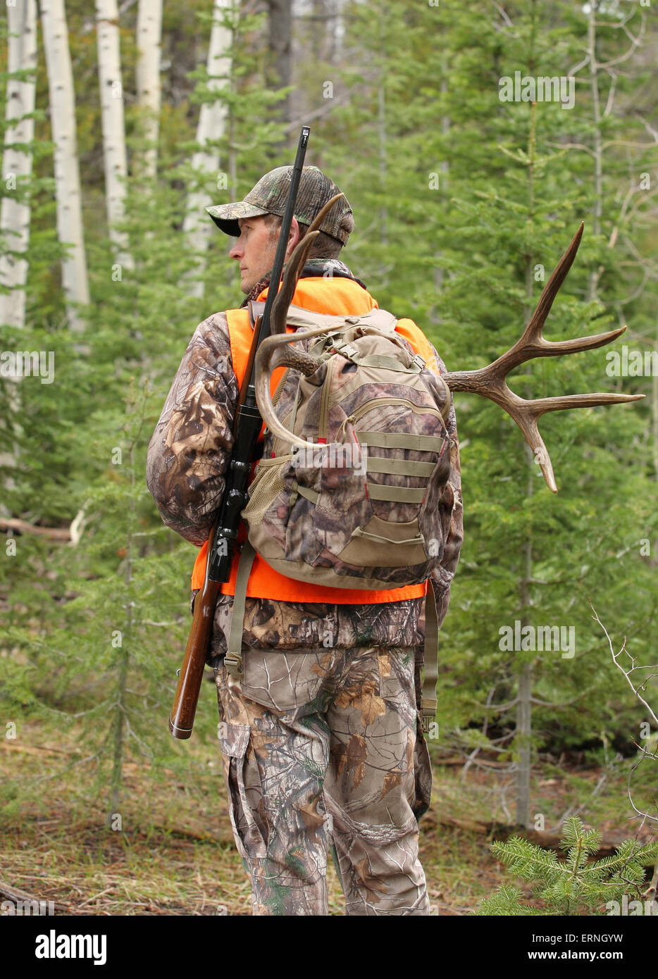 erfolgreiche Gewehr Jäger Wandern in Wäldern Stockfoto