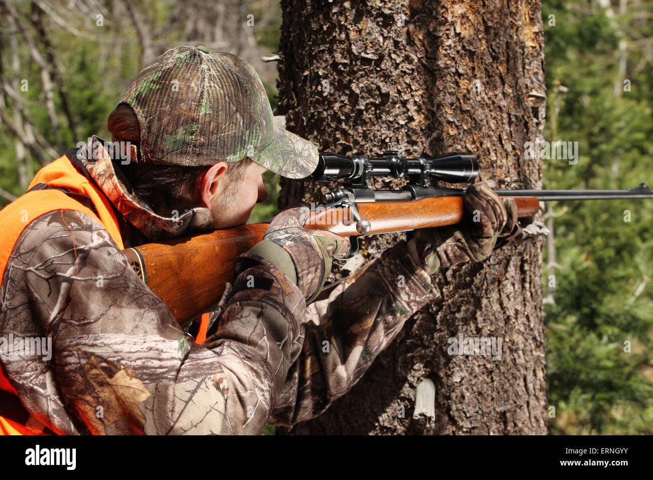 Erwachsenen Jäger mit dem Ziel Hirsch Gewehr im Wald Stockfoto