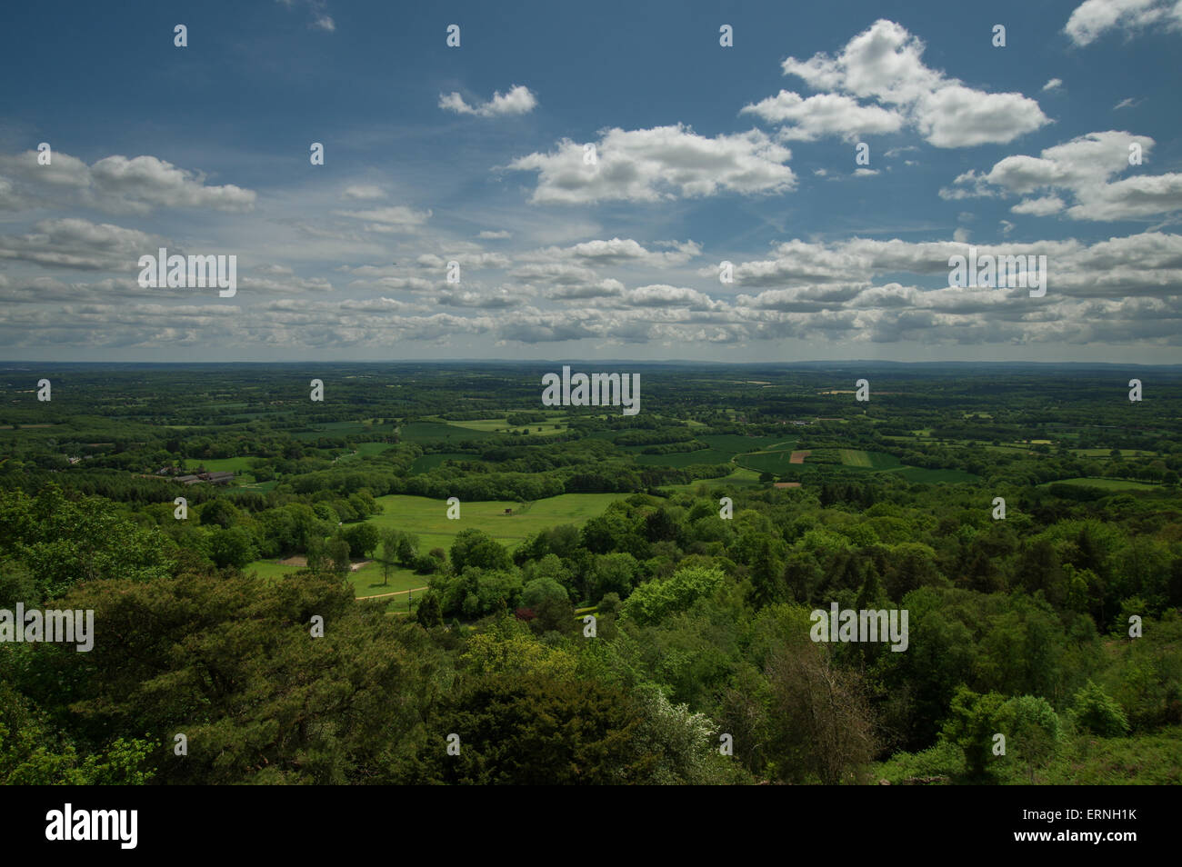 Surrey Landschaft von Leith Hill Tower gesehen Stockfoto