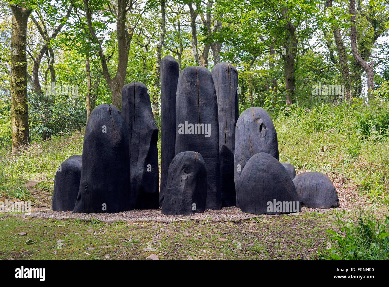 "Schwarze Hügel" eine Arbeit von David Nash zeigen auf Tremenheere Skulptur Gardens in der Nähe von Penzance, Cornwall, England, UK Stockfoto