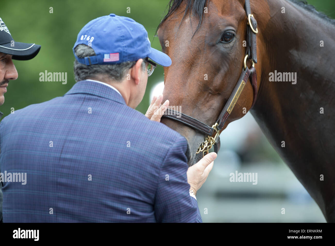 Elmont, New York, USA. 5. Juni 2015. Inhaber AHMED ZAYAT küsst 2015 Belmont Stakes Anwärter amerikanisches PHAROAH, von BOB BAFFERT ausgebildet, wie er im Belmont Park, Freitag, 5. Juni 2015 gebadet wird. Bildnachweis: Bryan Smith/ZUMA Draht/Alamy Live-Nachrichten Stockfoto