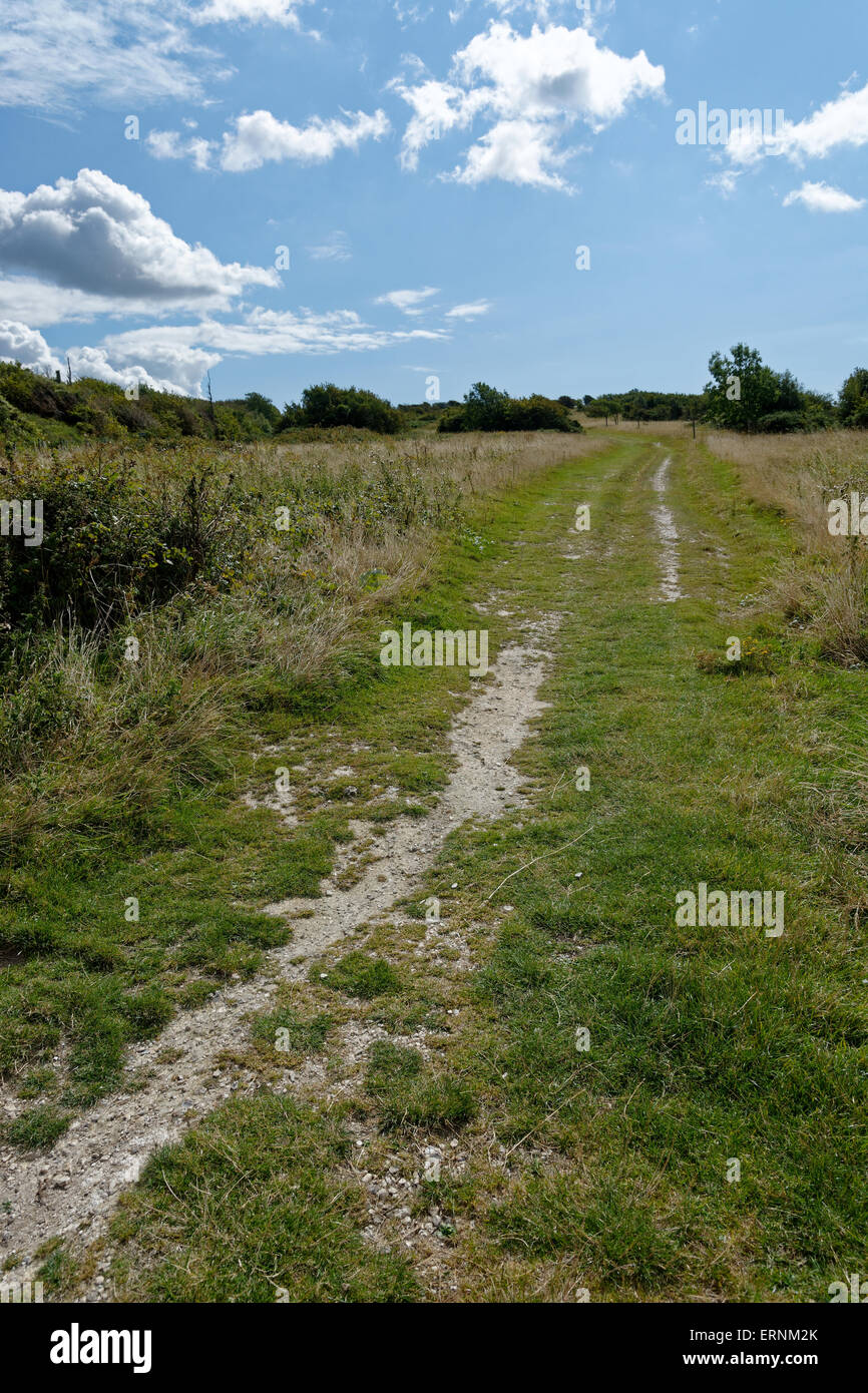 Tennyson Trail, Mottistone Down, Isle of Wight, England Stockfoto