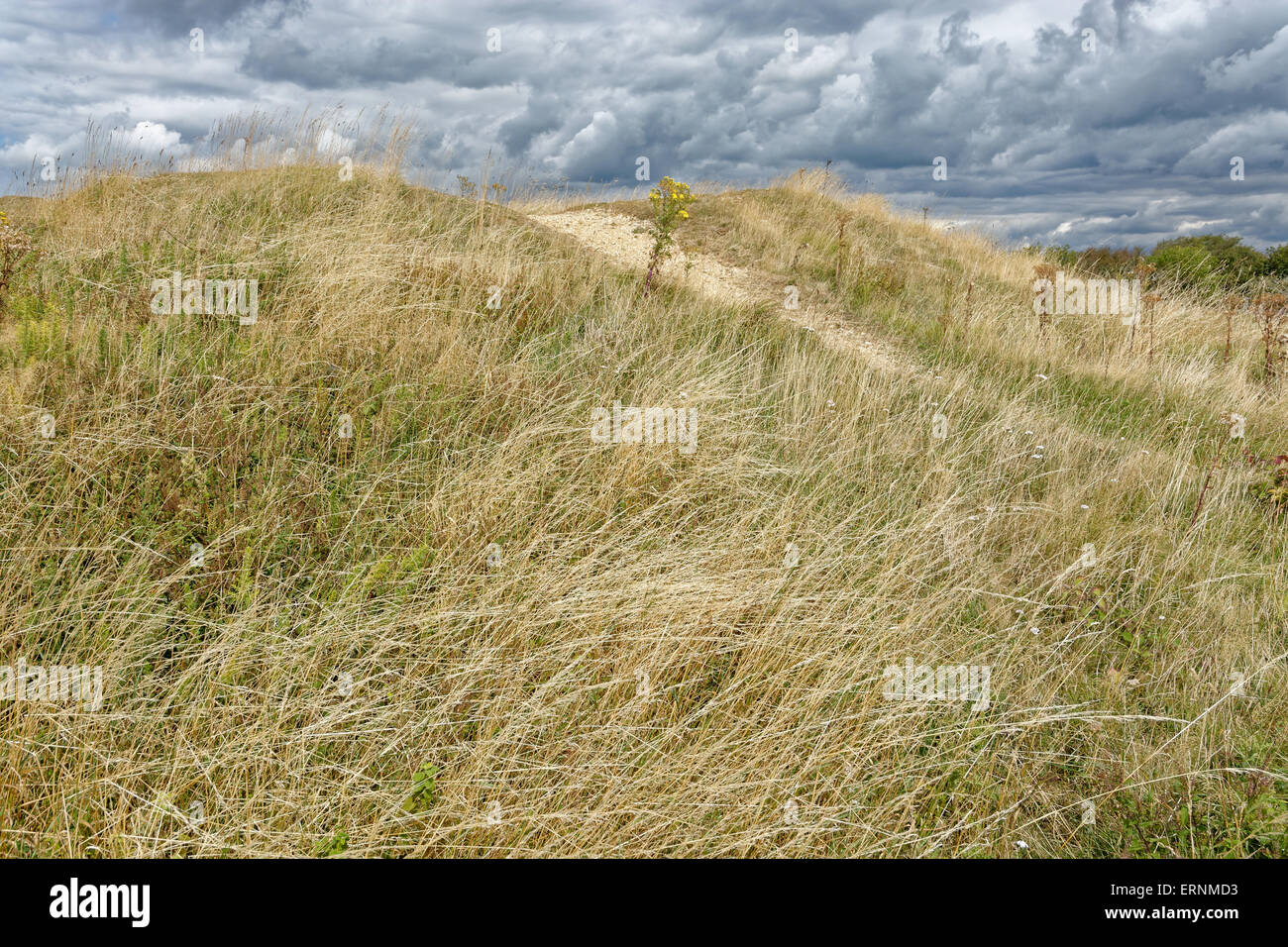 Runde Barrow, Mottistone unten, Nr. Mottistone, Isle Of Wight, England Stockfoto