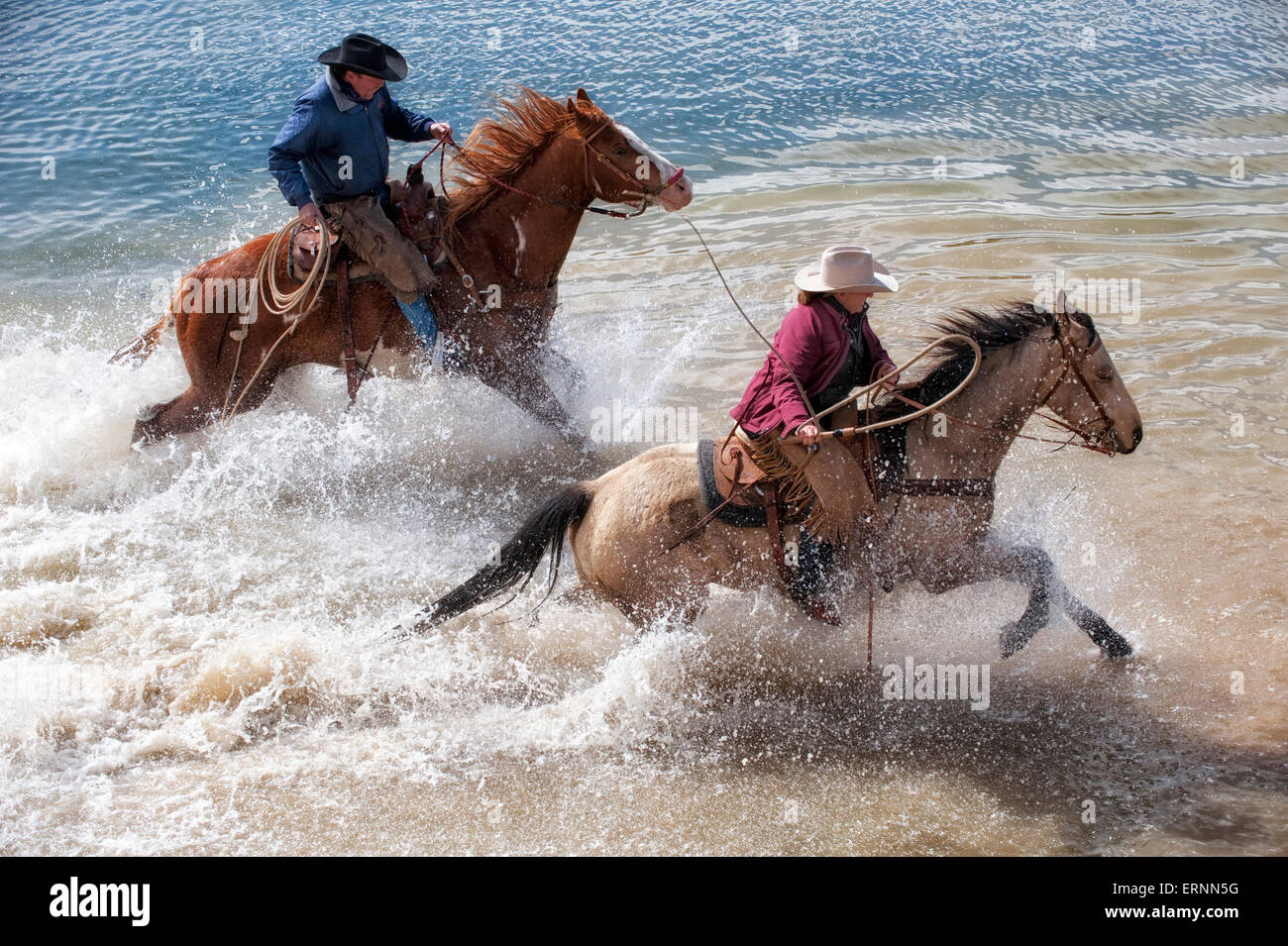 Wranglers am Sombreo Ranch Kreuzung Wasser auf dem Pferderücken, Colorado Stockfoto