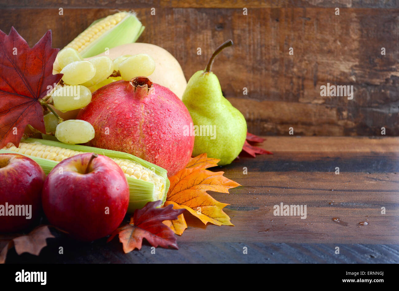Herbst-Obst und Gemüse Hintergrund mit frischen Butternut-Kürbis, Trauben, Blätter, Äpfel, Birne, Granatapfel und Mais, mit co Stockfoto