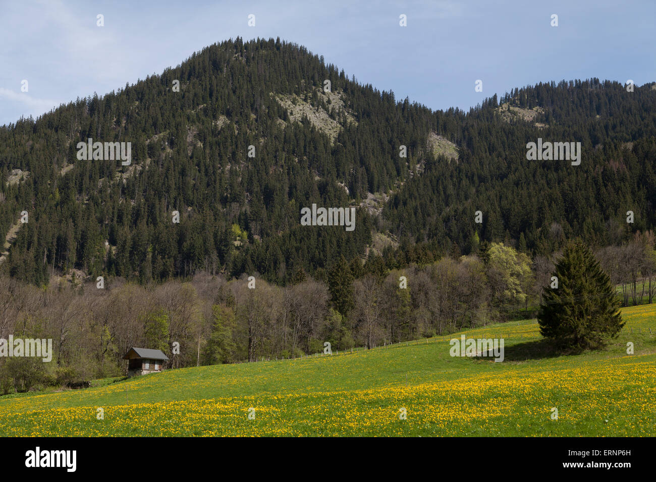 Berglandschaft in La Chapelle-Abondance, Haute-Savoie, Rhône-Alpes, Frankreich Stockfoto