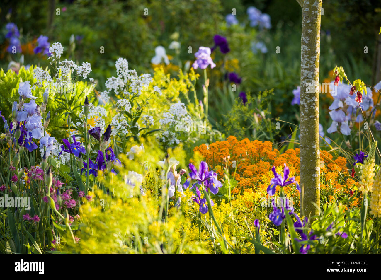Monet-Garten in Giverny (im Mai), Haute-Normandie, Frankreich Stockfoto