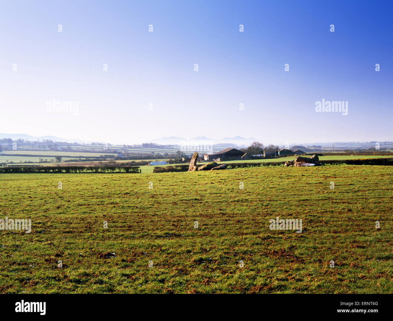 Aussehende SSW Überreste von Hendrefor neolithische Grabhügel Kammer(n), Anglesey, mit Spitzen der Halbinsel Lleyn nach hinten. Langen Damm durch Landwirtschaft entfernt. Stockfoto