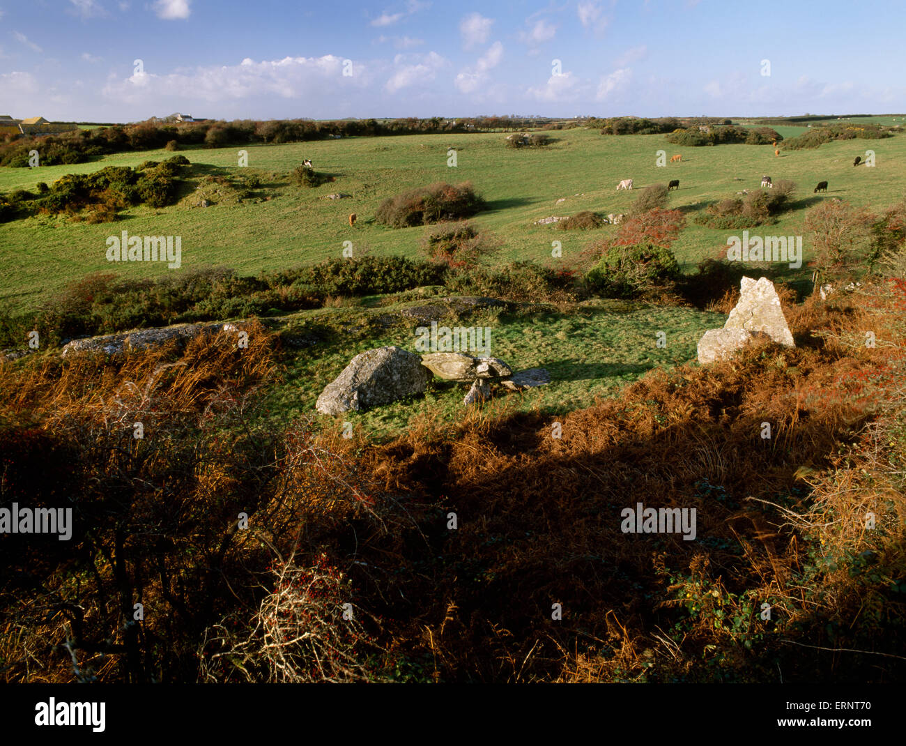 DIN Dryfol neolithische Grab, Anglesey: Reste von bis zu 4 Grabkammern, gebaut in einer Linie W-E (L-R) einmal durch eine aufwendige 62m langen Cairn abgedeckt. Stockfoto