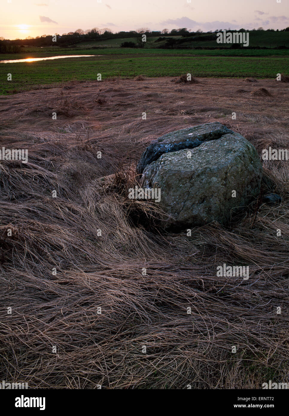 Bronzezeit Runde Barrow rings um einen Menhir, Anglesey, benannt in mittelalterlichen walisischen Erzählungen (Mabinogi) als das Grab von Branwen, Tochter des Llyr. Stockfoto