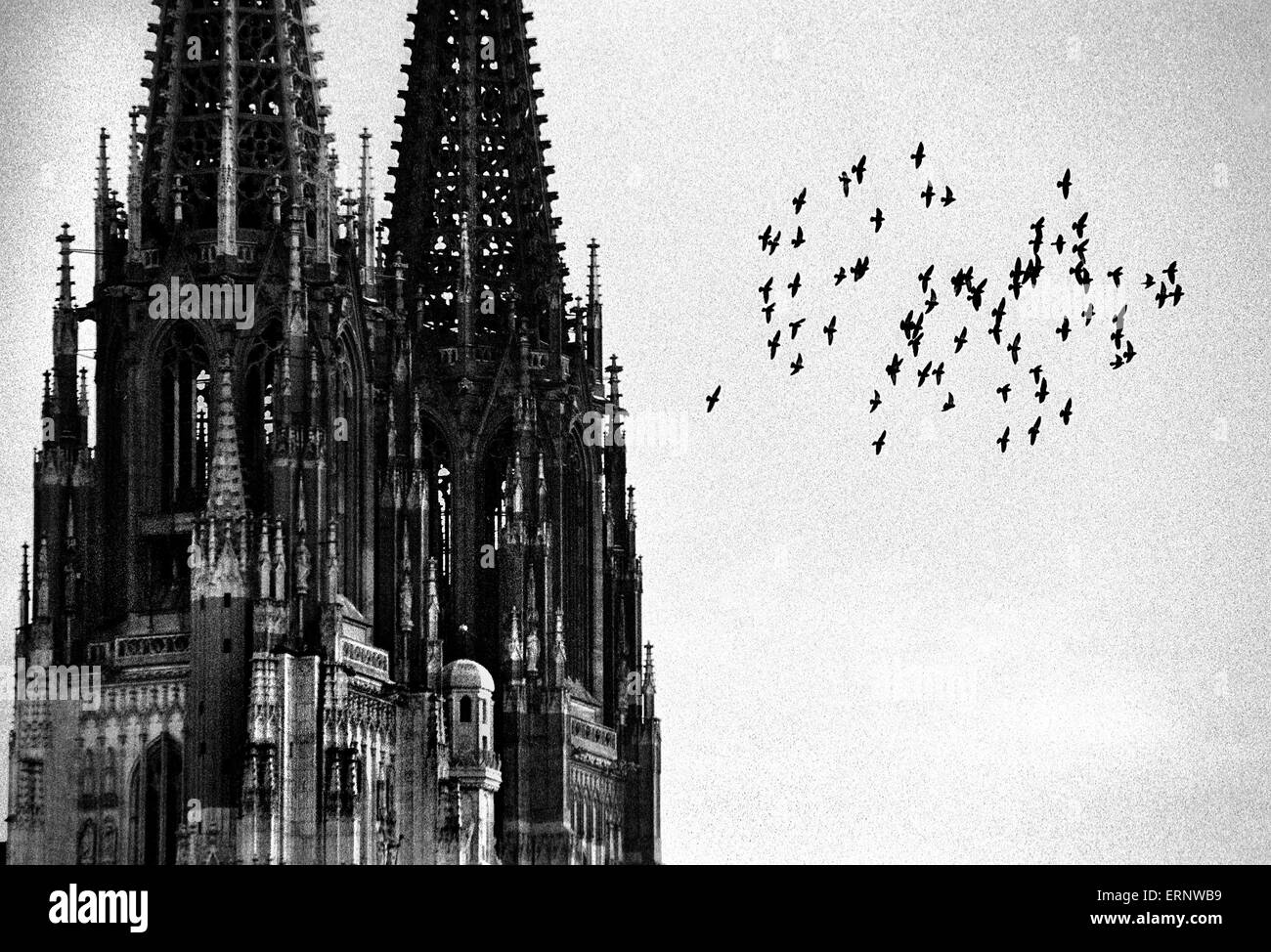 Ein Schwarm Tauben in der grauen Winterhimmel fliegt von Regensburg St. Peter Cathedral, das gotische Wahrzeichen der mittelalterlichen Stadt Regensburg (Bayern, Deutschland), UNESCO-Weltkulturerbe. Stockfoto