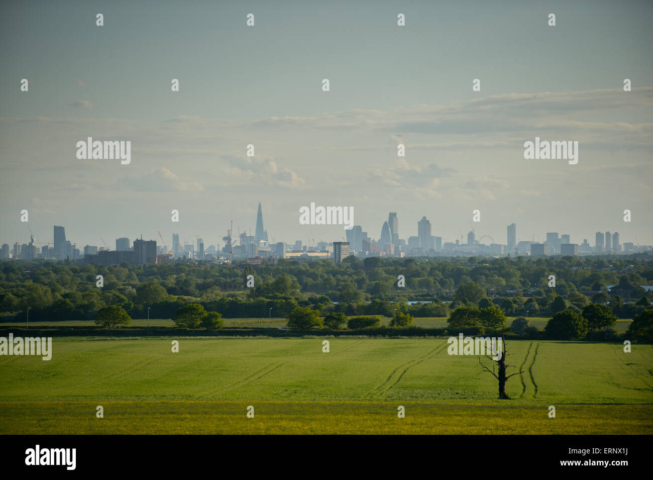 Die Skyline von London von Hainault, Essex zeigen die Scherbe, Tower 42, 30 St Mary Axe (die Gurke), 20 Fenchurch Street. Stockfoto