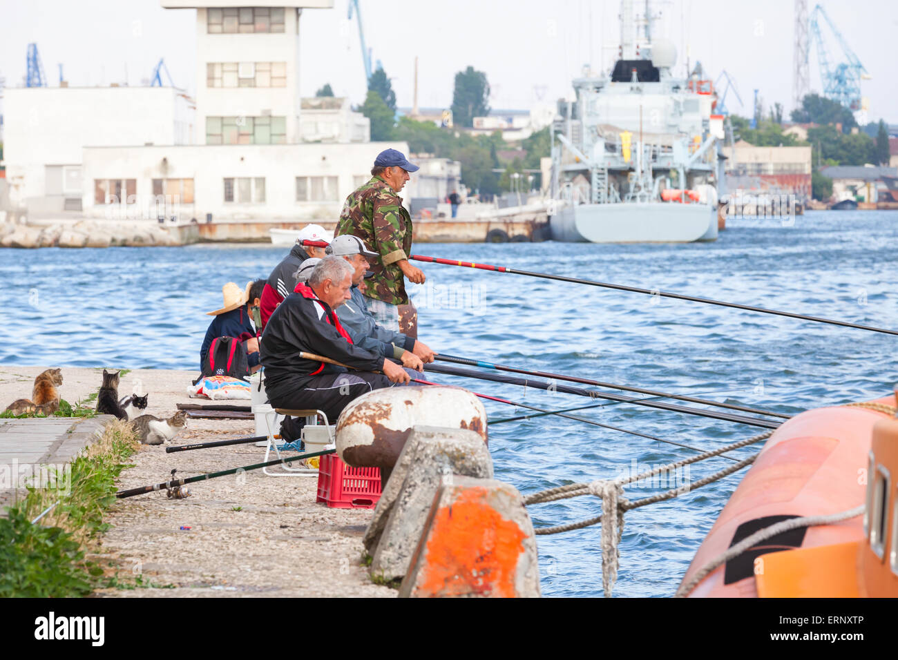Varna, Bulgarien - 20. Juli 2014: Senior Fischer fangen Fische vom Ufer, Gruppe von Katzen warten auf Beute Stockfoto