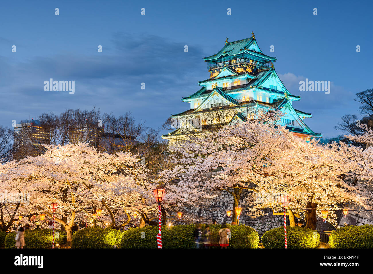 Osaka Castle während der Frühjahrssaison in Osaka, Japan. Stockfoto