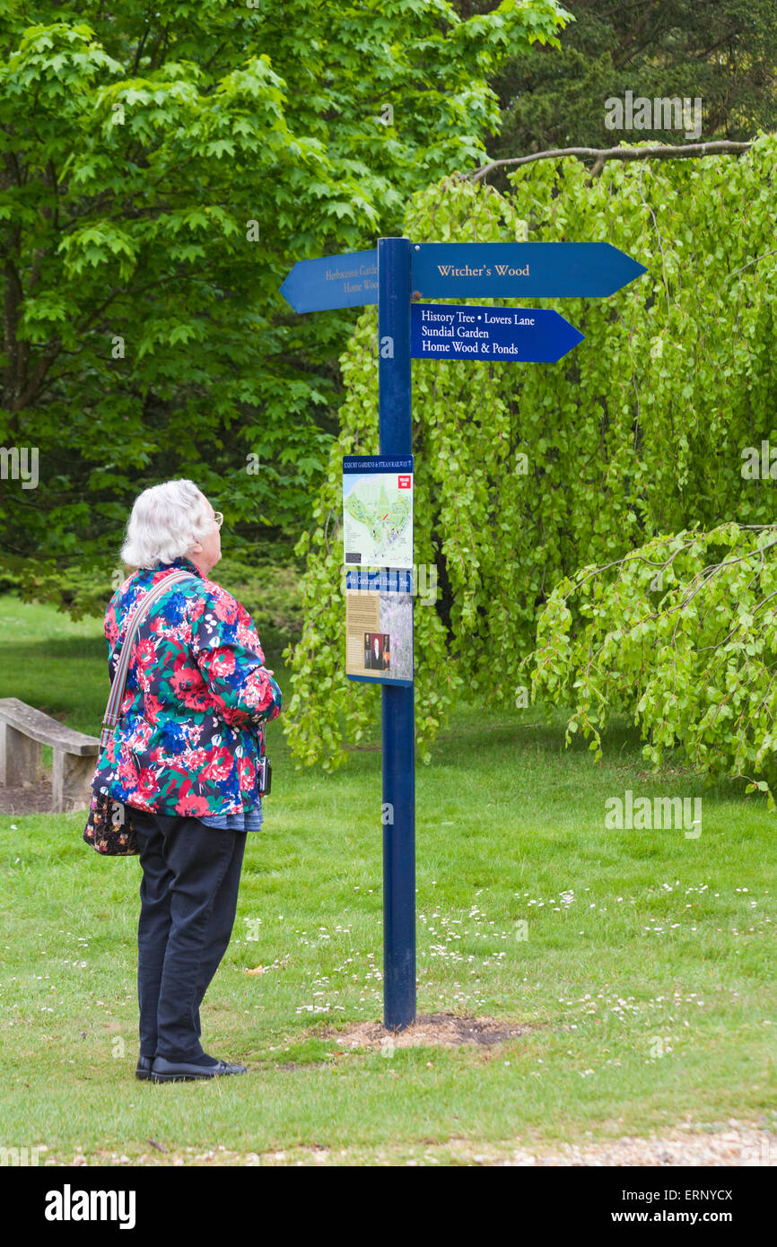 Frau an der Karte und Informationen über die Wegweiser an Exbury Gardens suchen, New Forest National Park, Hampshire Großbritannien im Mai Frühling Stockfoto