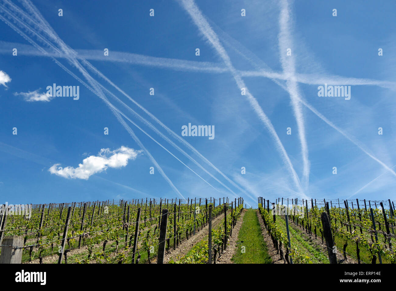 Kondensstreifen über den Rheingau Wein-Bereich Stockfoto Kondensstreifen über den Rheingau Wein-Bereich Stockfoto