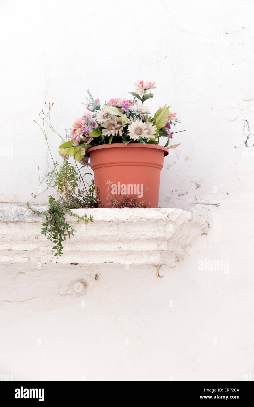 Blumentopf mit künstlichen Blumen auf einem Felsvorsprung der weiß getünchten Wand Stockfoto