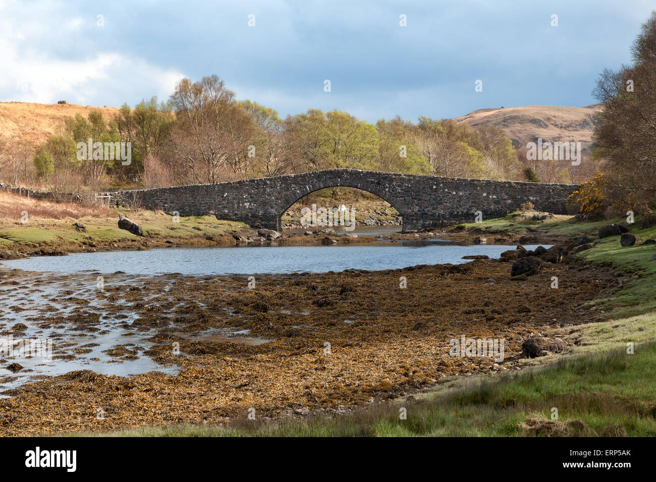 Steinerne Brücke in der schottischen Landschaft Stockfoto